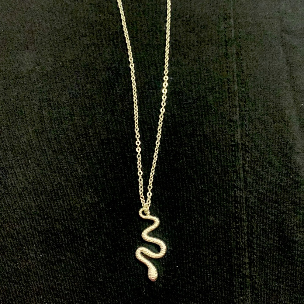 Silver tone necklace with snake pendant. 18 in. Chain with lobster claw clasp.